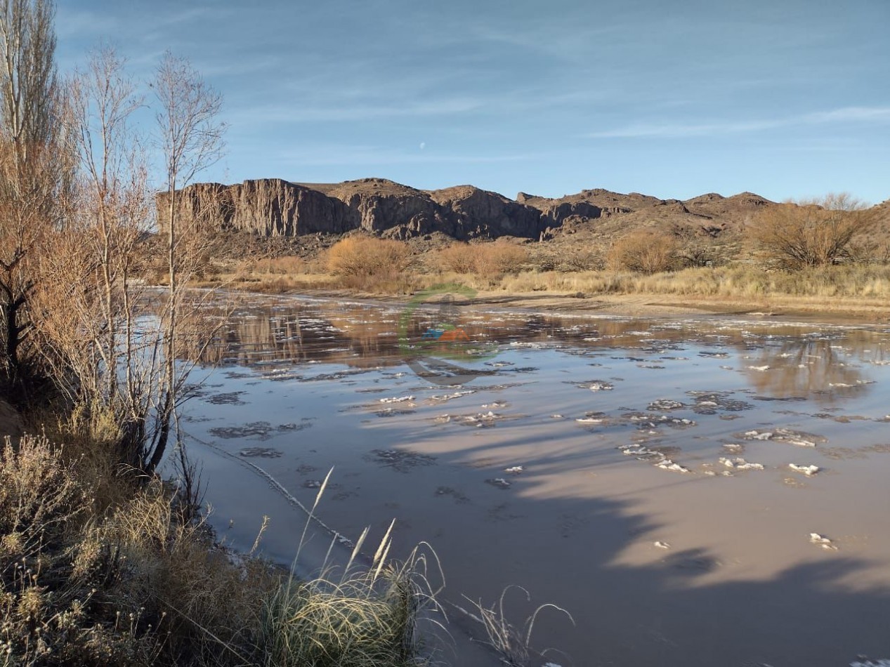 59000 ha Ganadero - Chubut