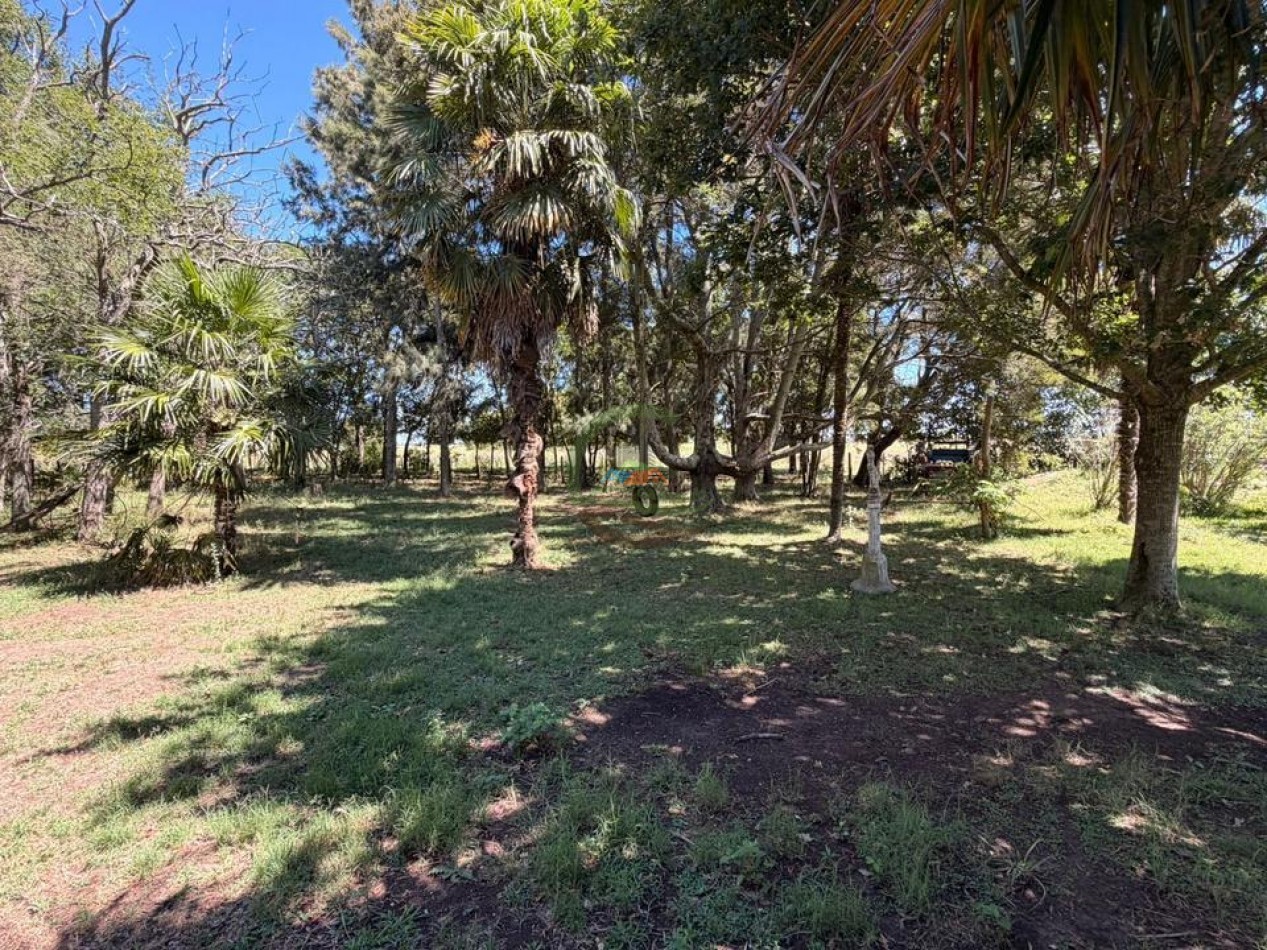 469 Ha Mixto - Chascomus