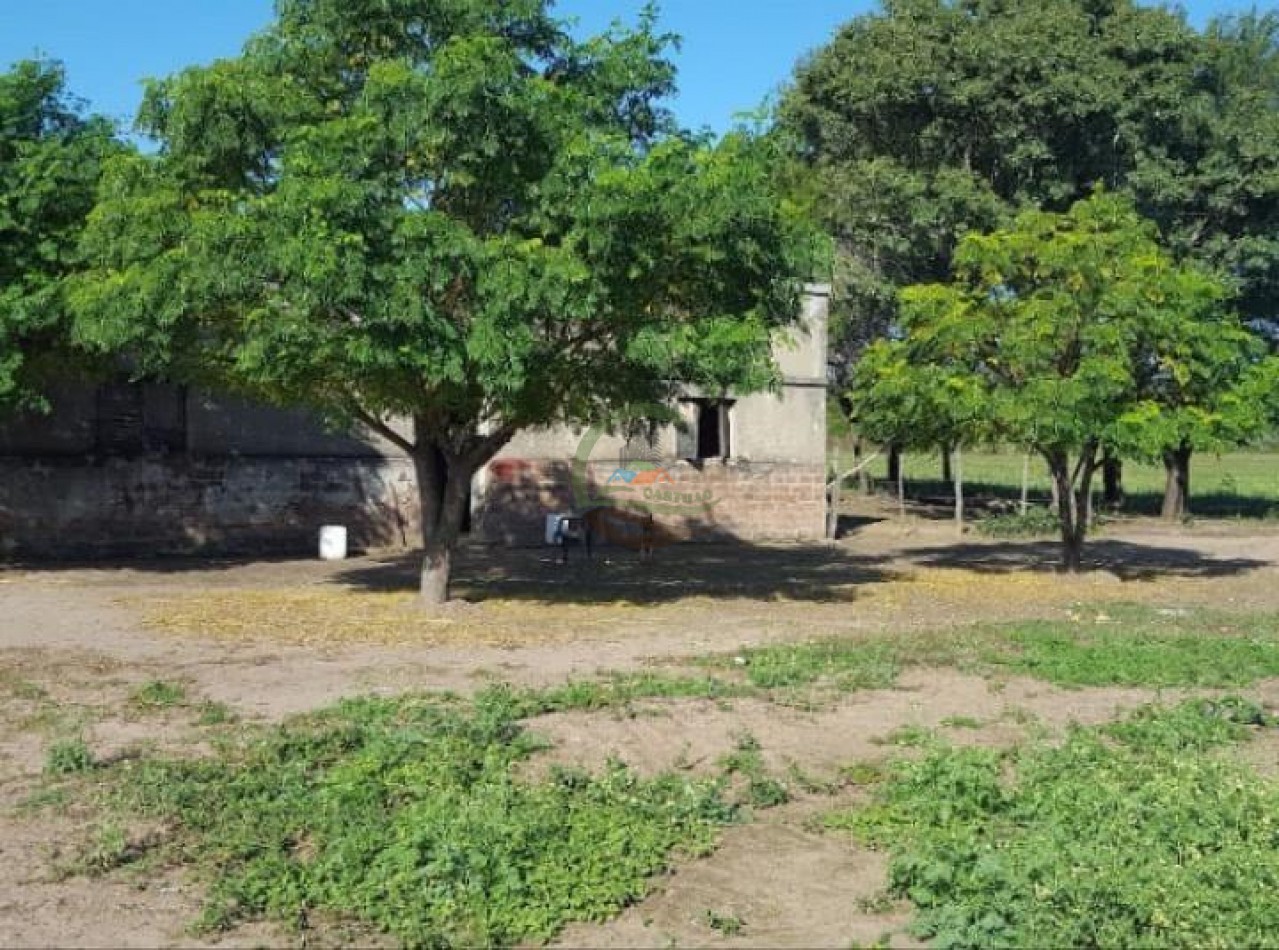 450 Ha Mixtas - Quitilipi - Chaco