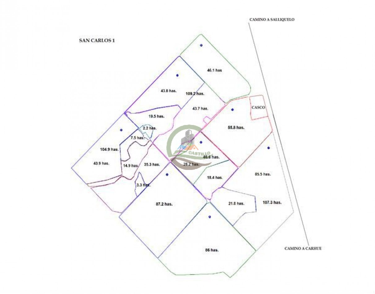 1354 Ha Mixto - Carhue