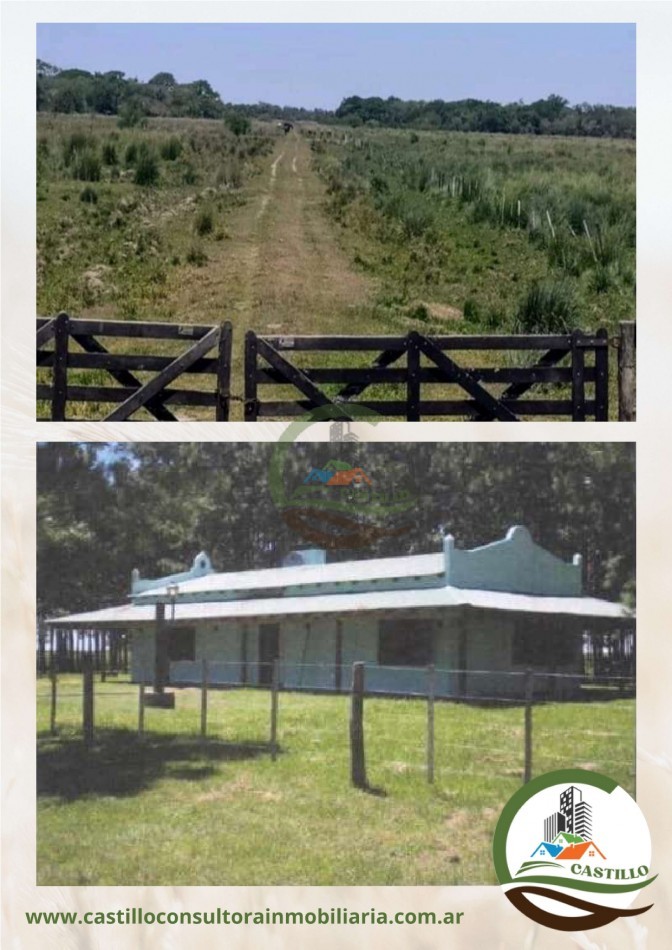 41539 Ha Mixto - Ituzaingo - Corrientes