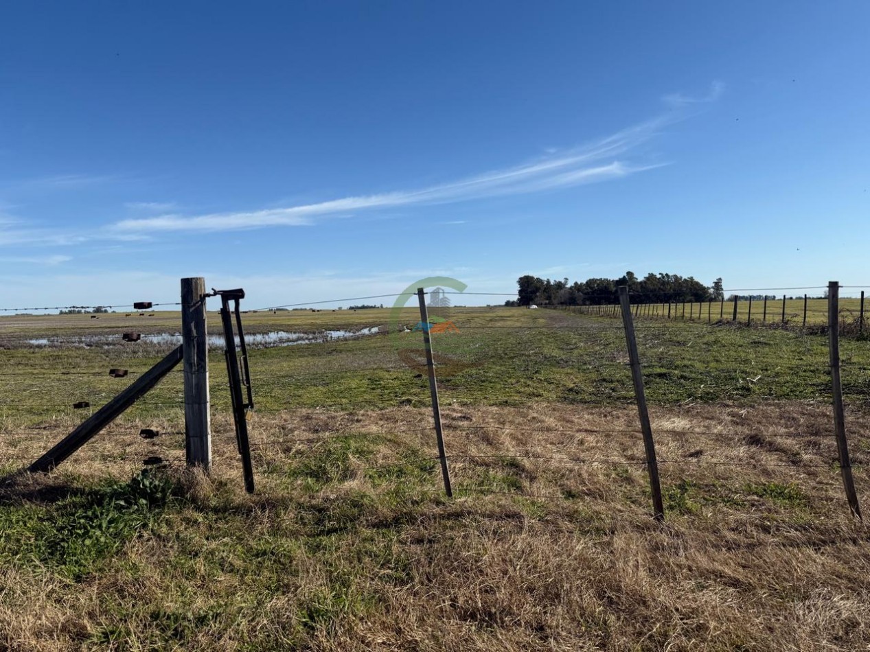 36 Ha Agricolas - Henderson