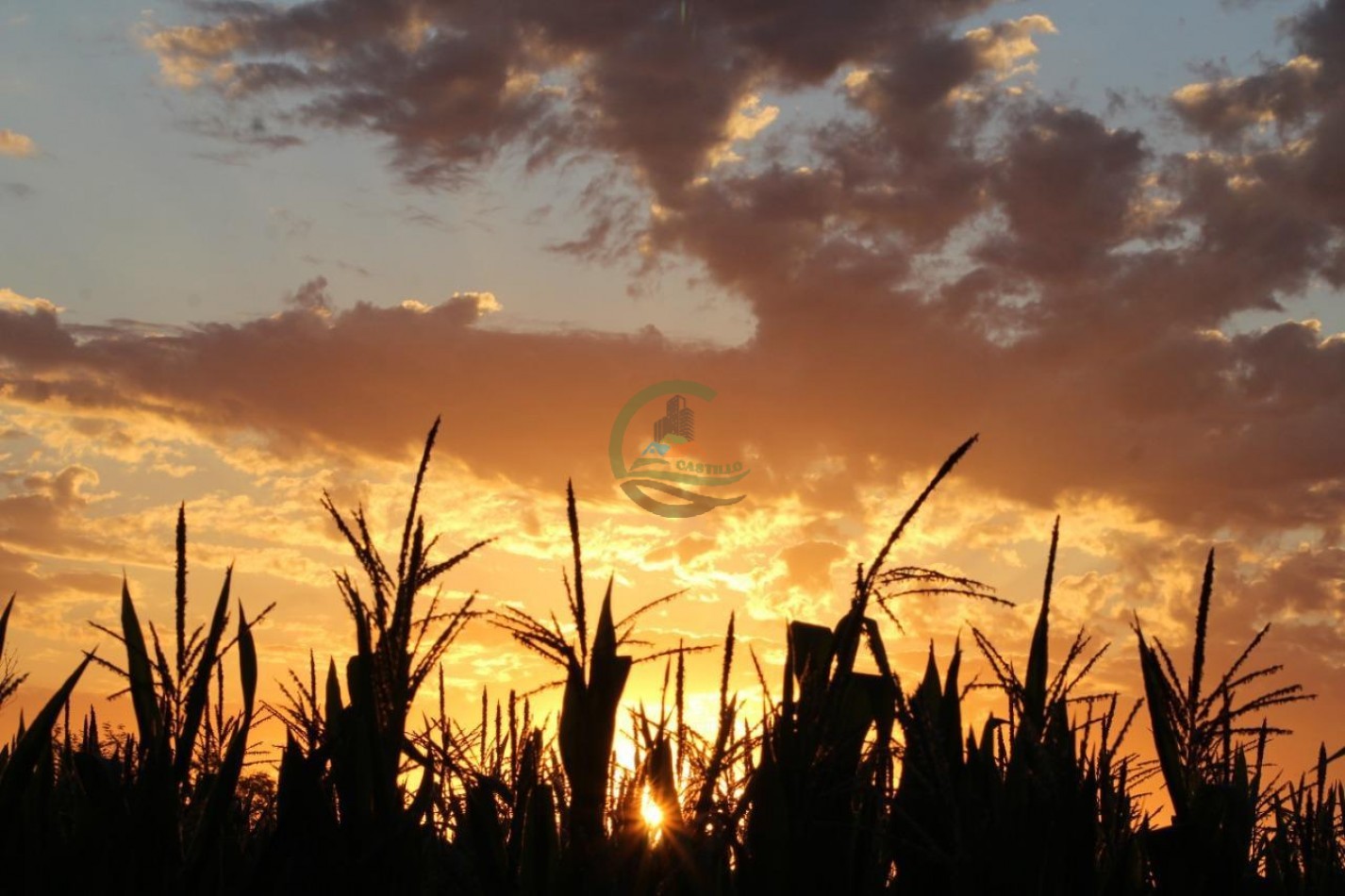30 ha Agricolas - Pergamino