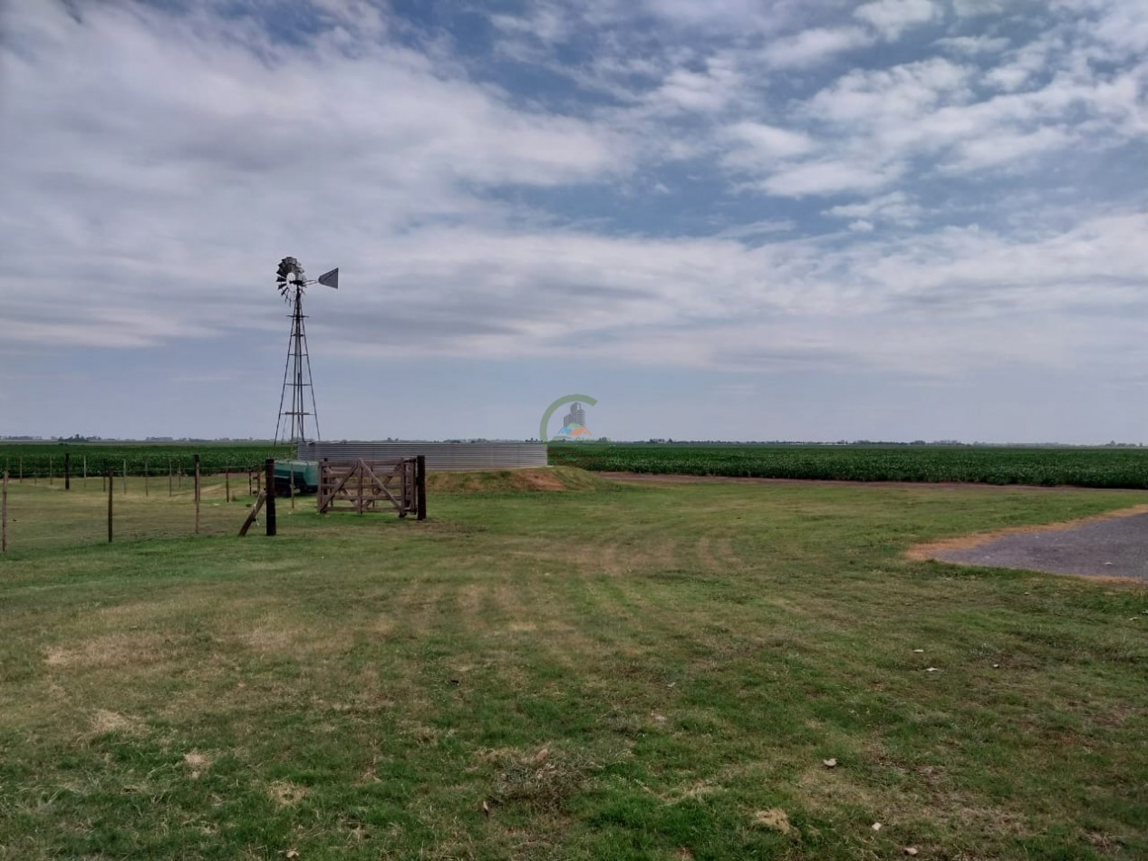 515 ha MIxtas - Pergamino