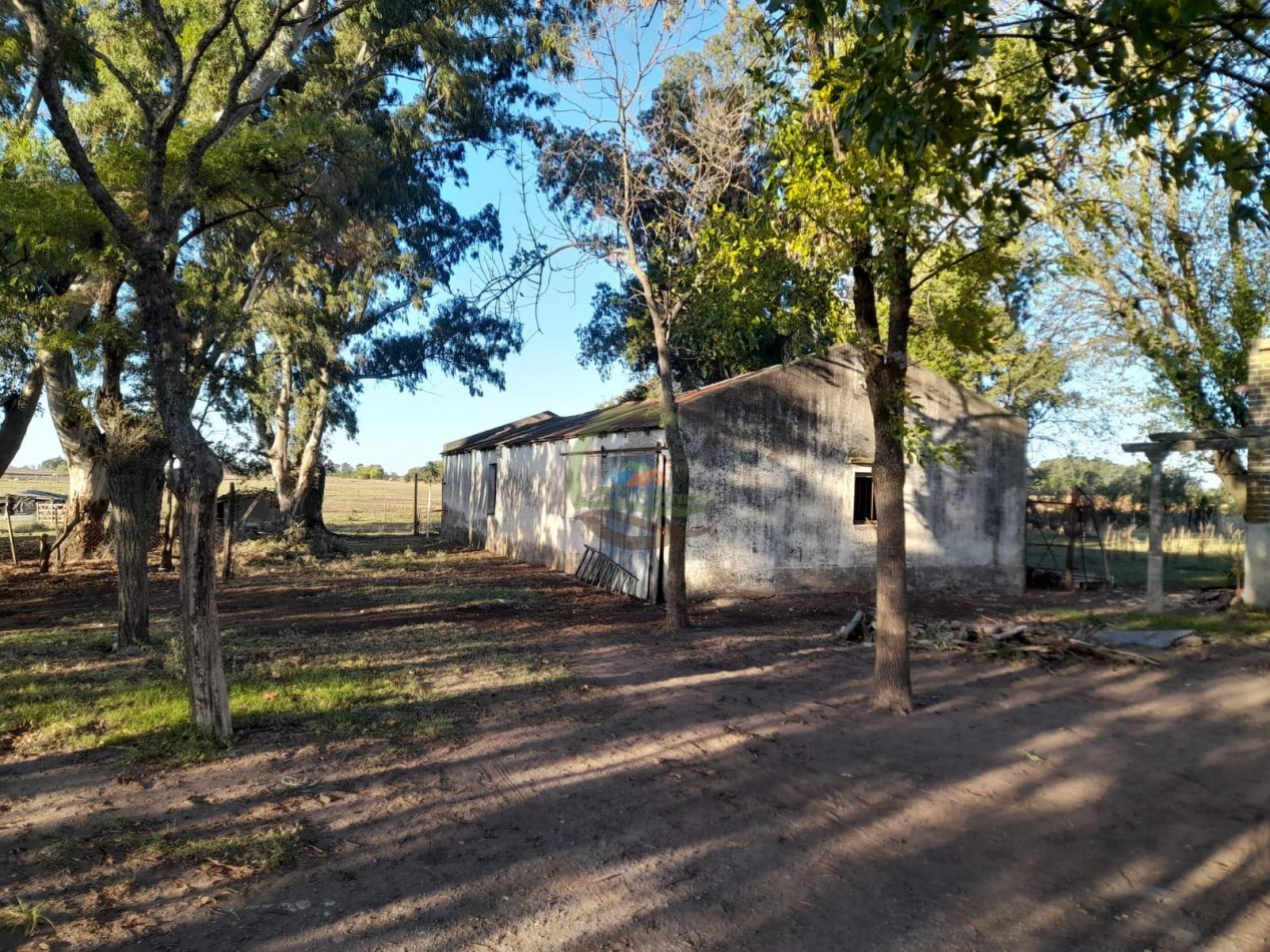 20,7 Ha Mixto - Bolivar