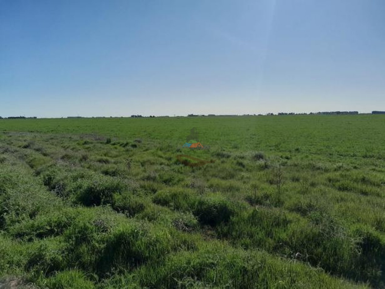 324 Ha Agricolas - San Cayetano