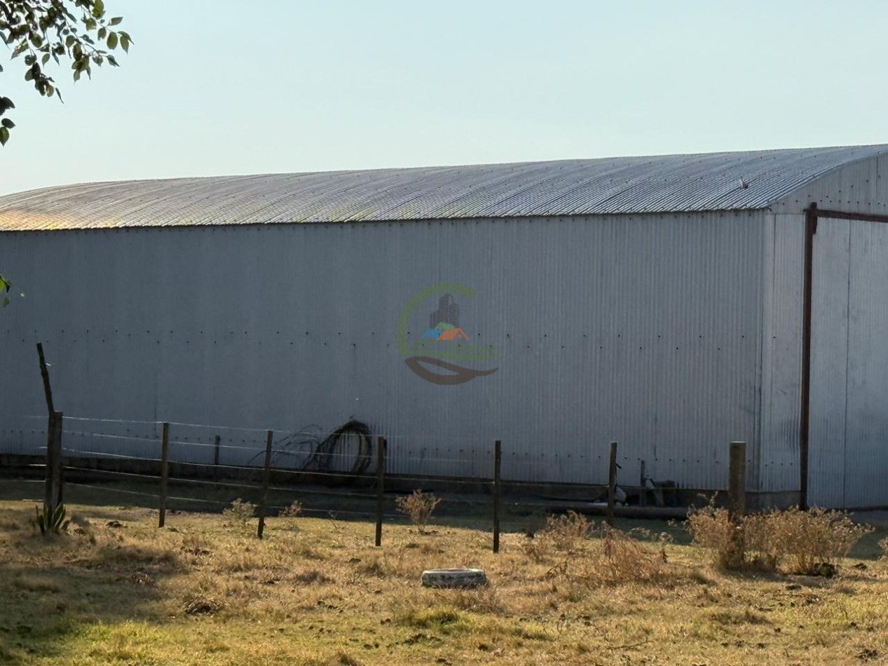 1698 ha Mixto - Paula - Bolivar