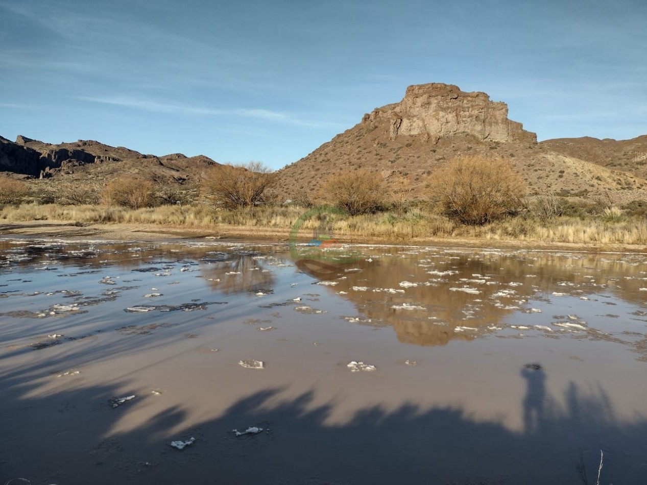 59000 ha Ganadero - Chubut