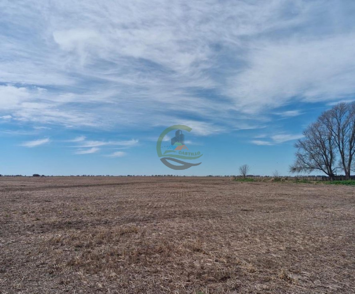 440 Ha Mixta - Crotto - Tapalque