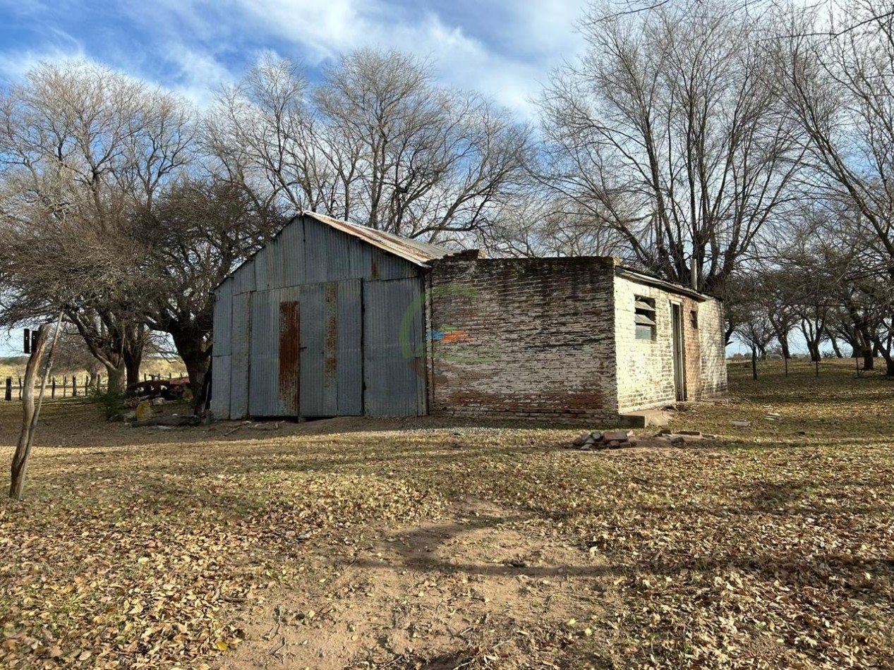 1006 Ha Mixto - Gral Acha - La Pampa