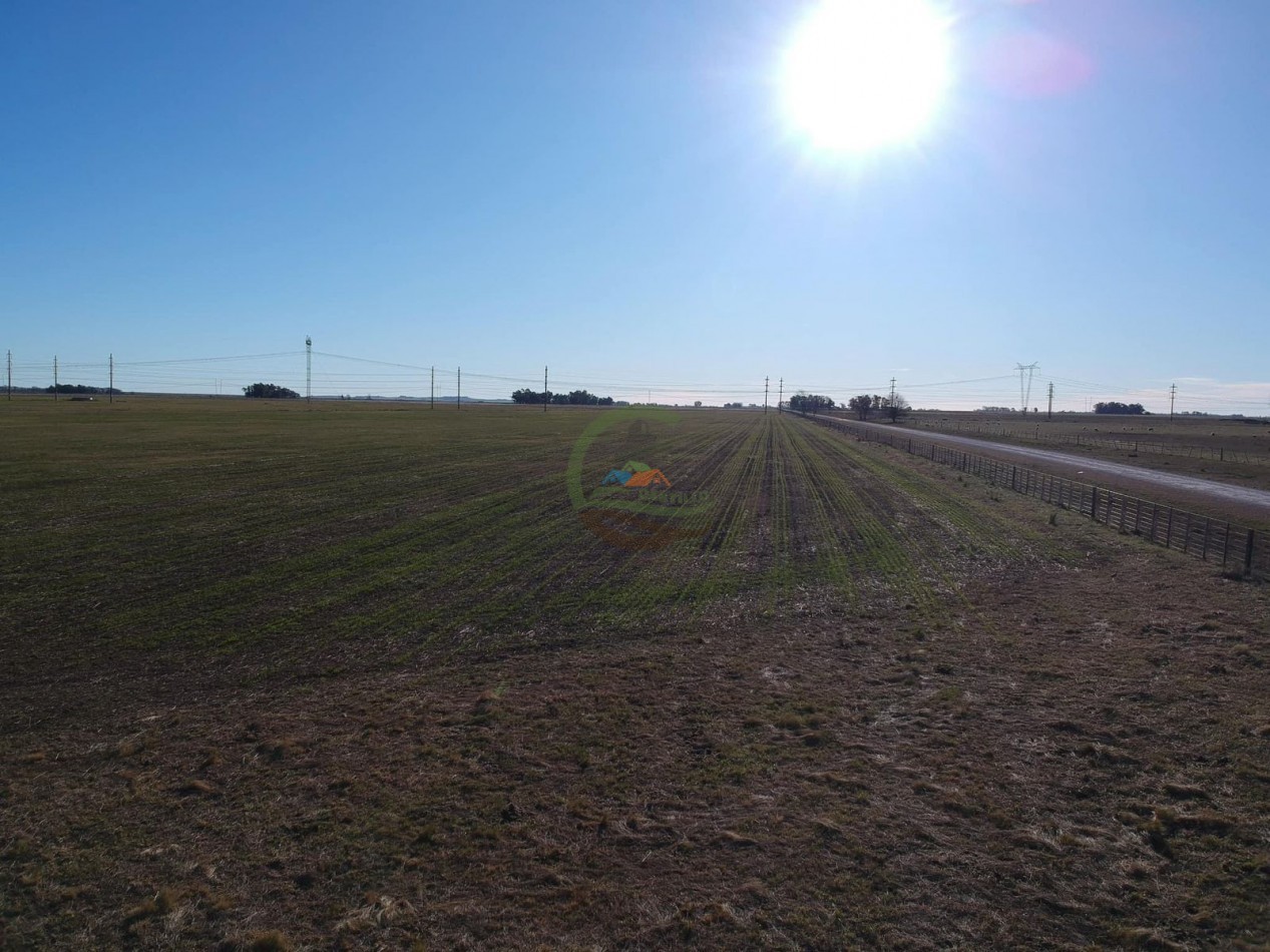 47 ha mixto - Olavarria