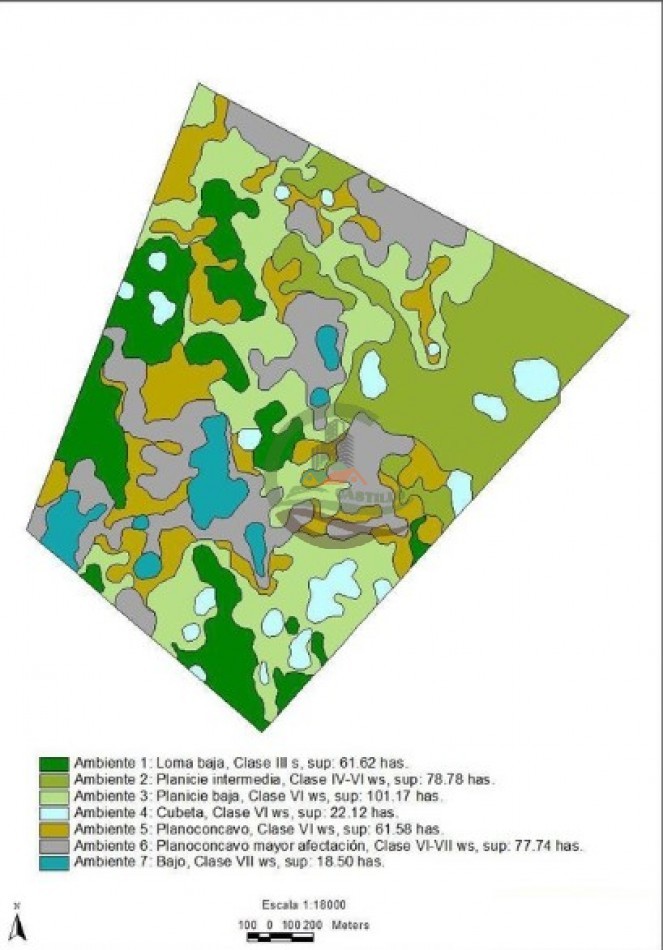 422 Ha Mixto - Las Flores