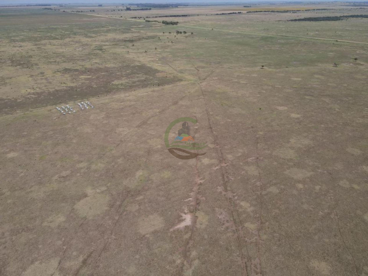 1020 Ha Mixto - Realico - La Pampa