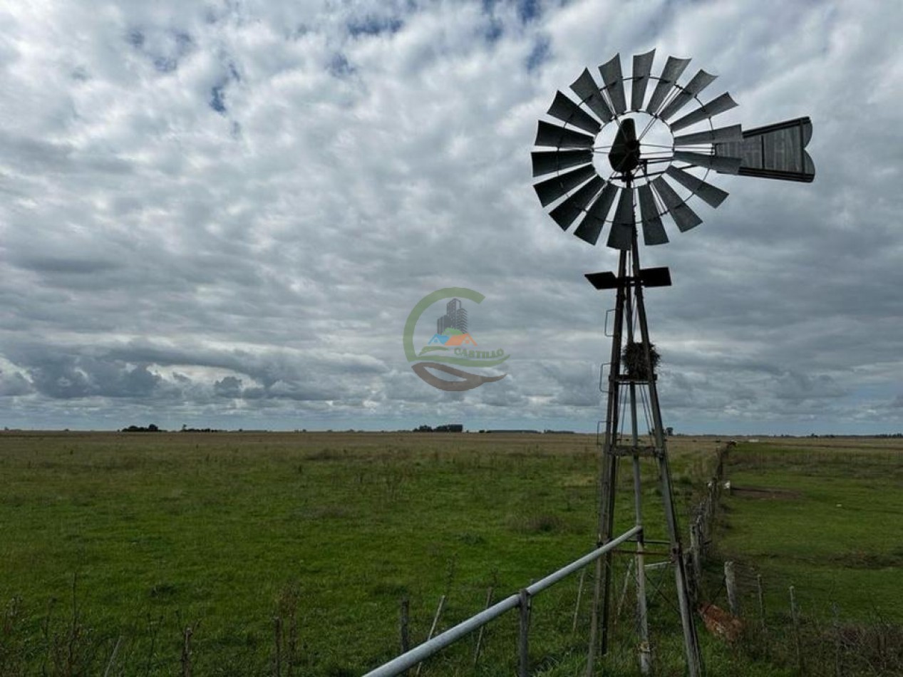 333 Ha Mixto - Balcarce