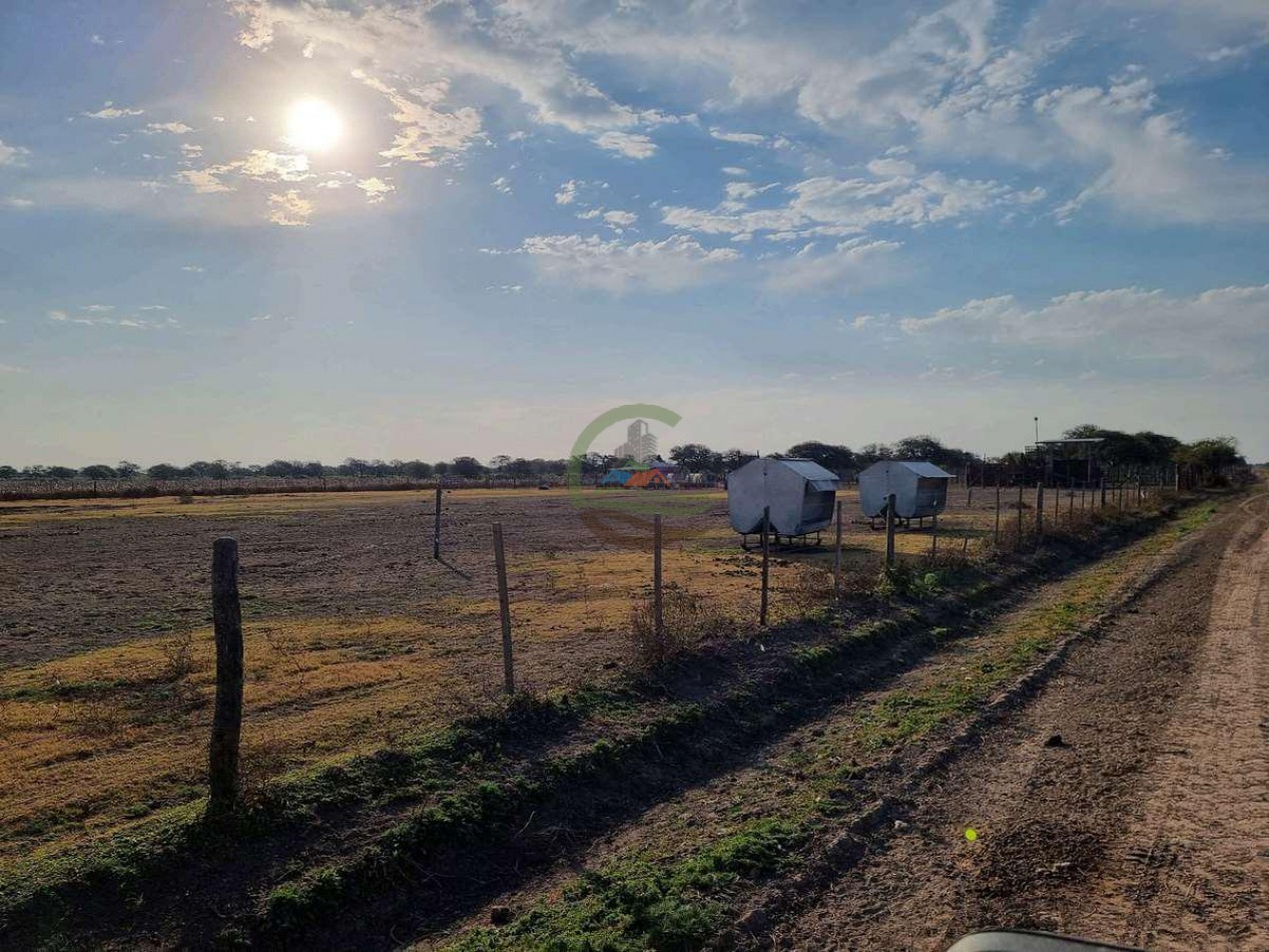 400 Ha Ganaderas - Gregoria Perez de Denis - Santa Fe