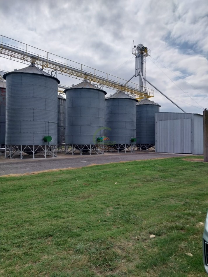 515 ha MIxtas - Pergamino