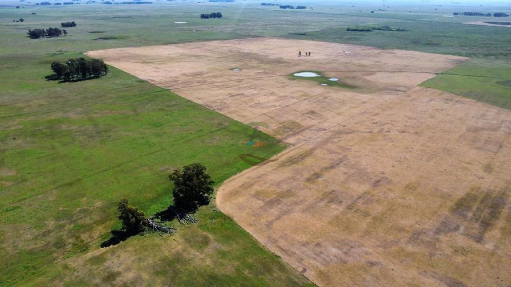 431 Ha Ganadero - Campodonico - Tapalque