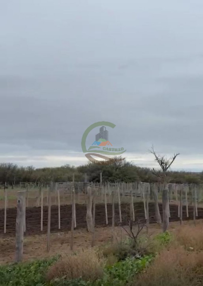 5117 Ha Ganadero - La Adela - La Pampa