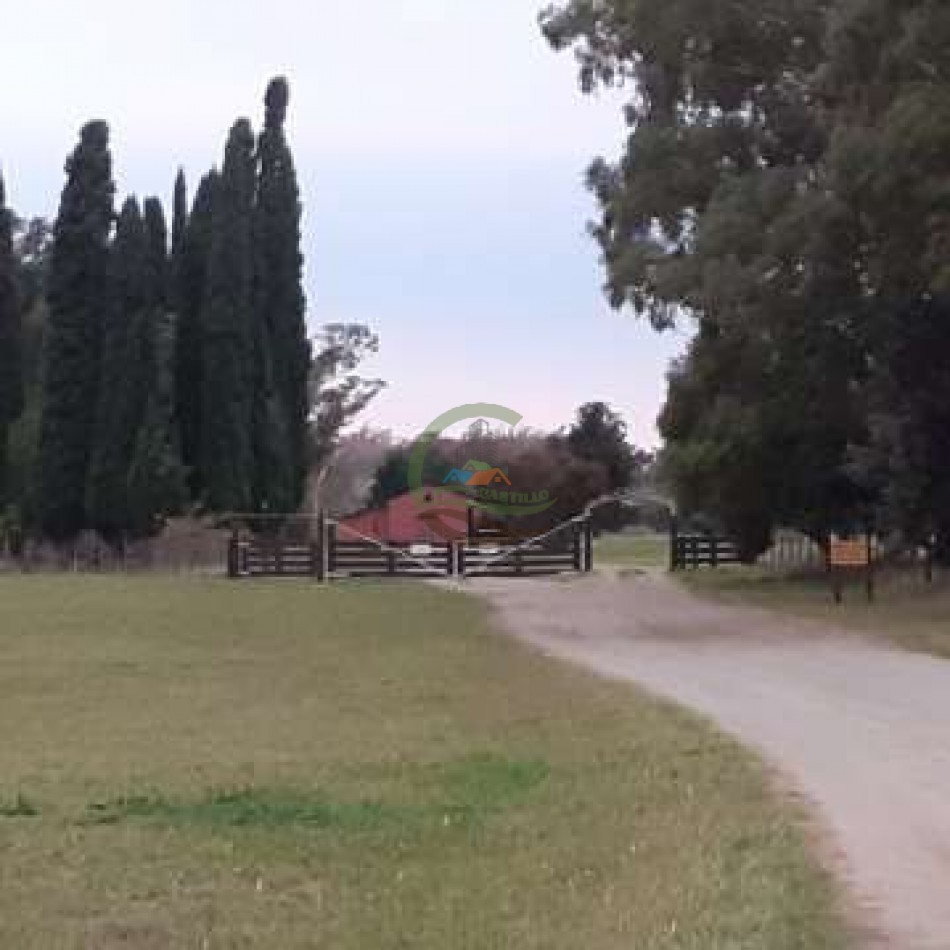 1583 ha Mixto - Loberia