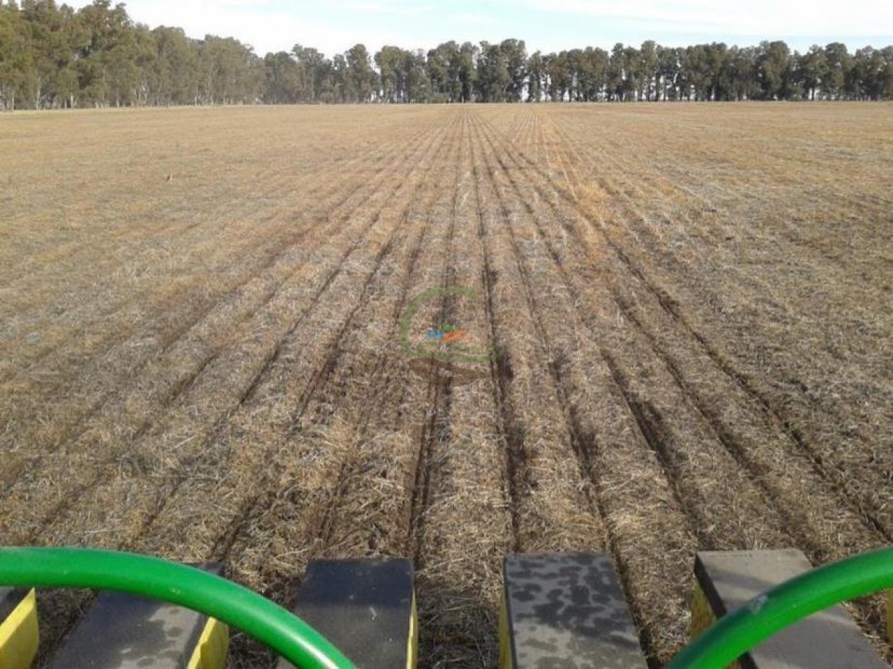 763 Ha Mixto - Villa Saboya - Gral Villegas