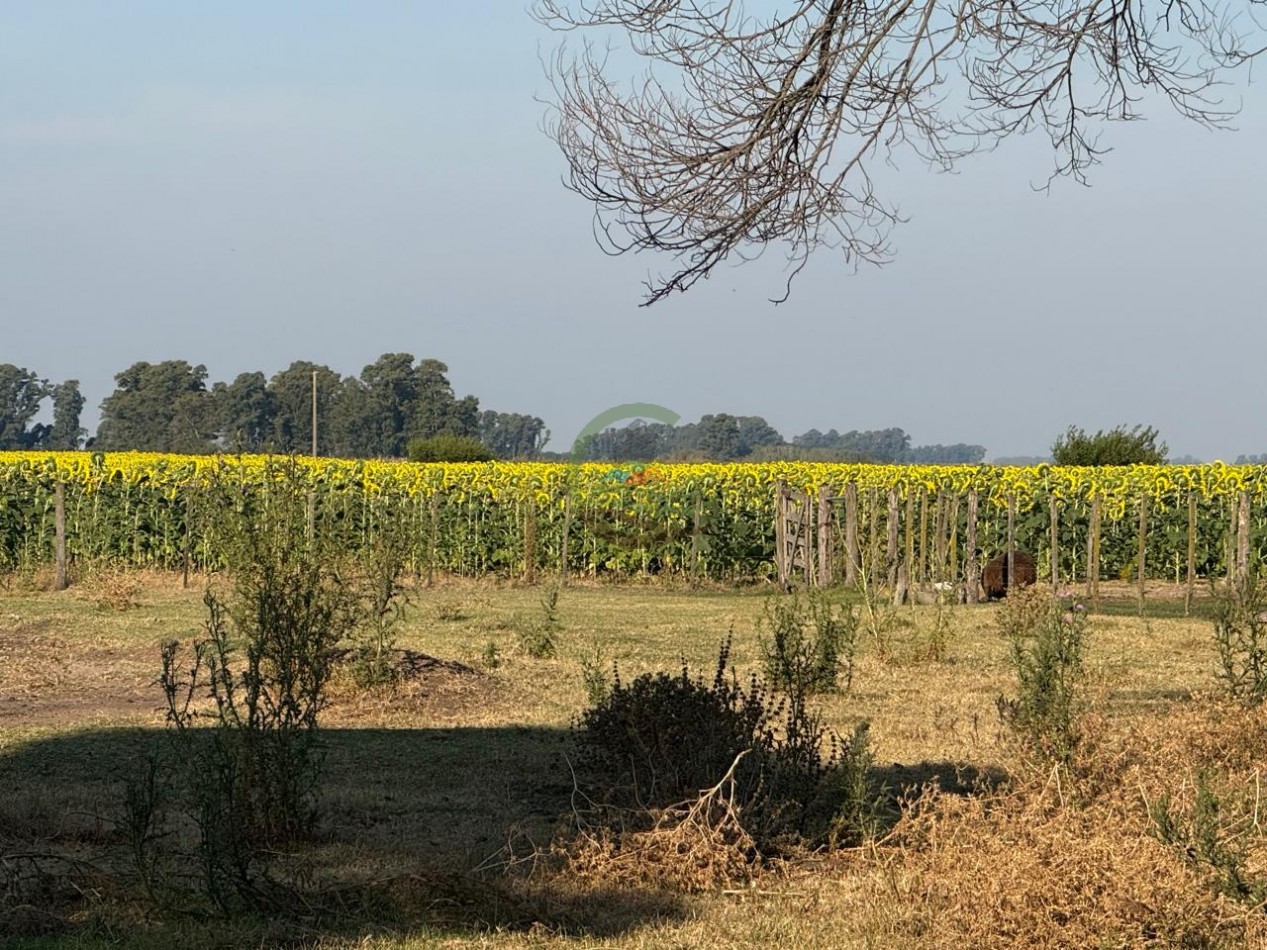 1698 ha Mixto - Paula - Bolivar