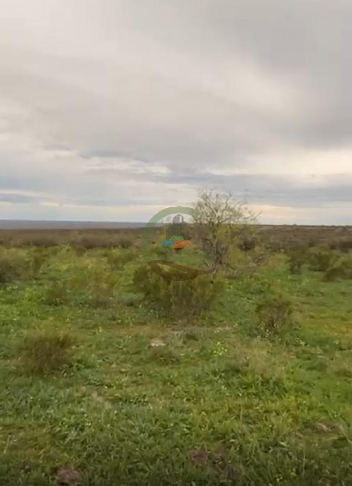 5117 Ha Ganadero - La Adela - La Pampa