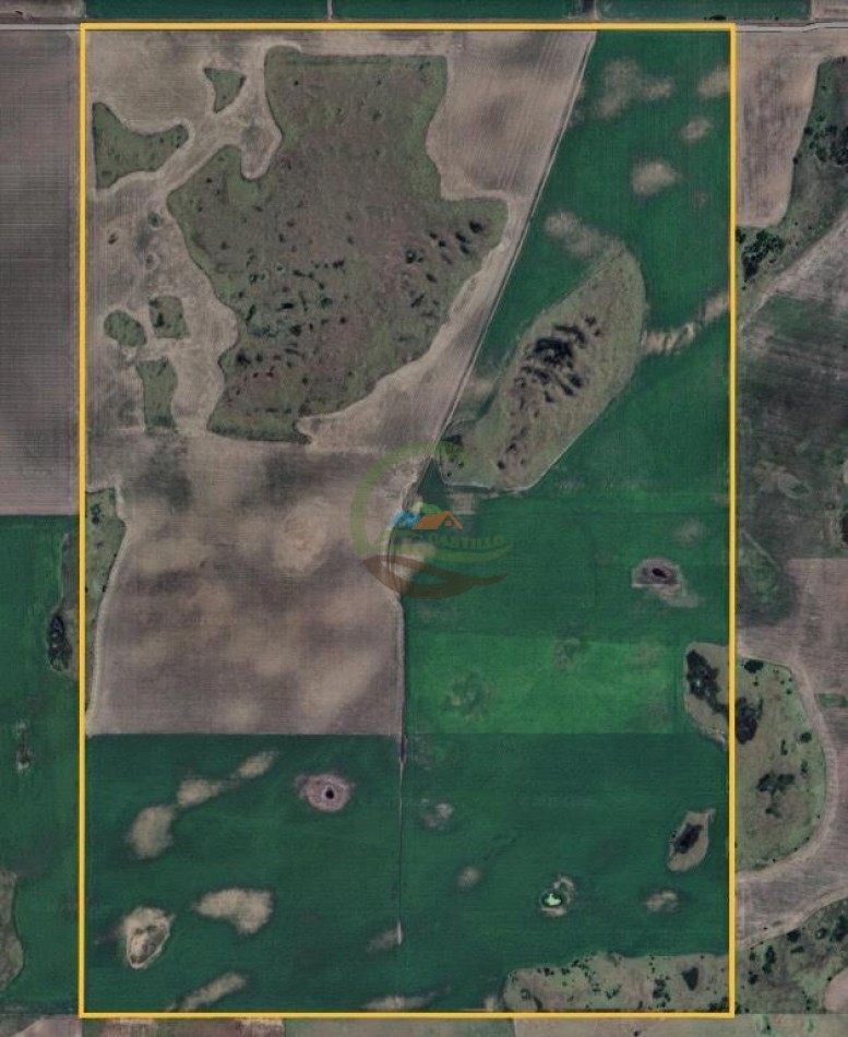 411 Ha Agricolas - Arano - La Pampa