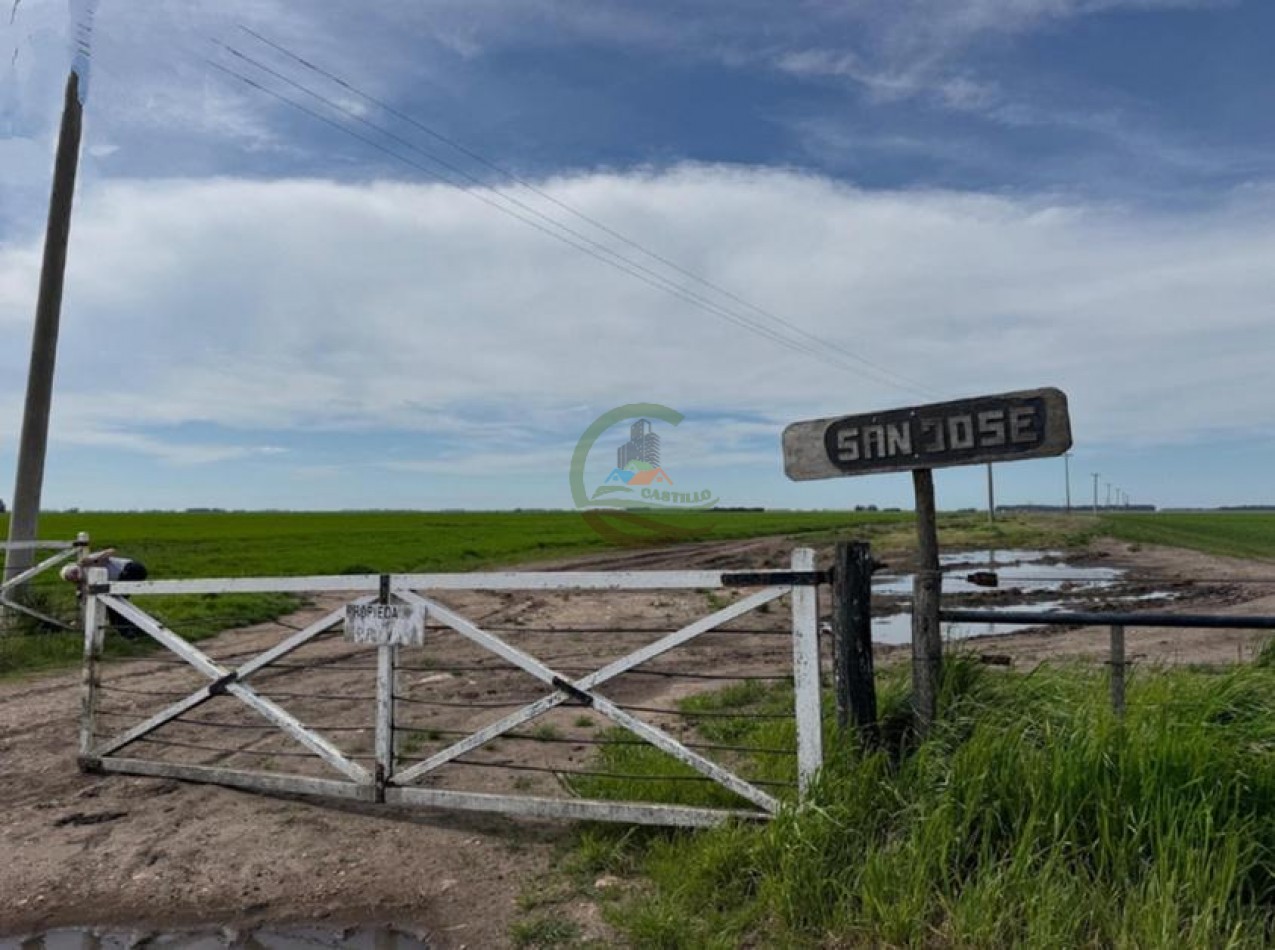 520 Ha Mixtas - Necochea