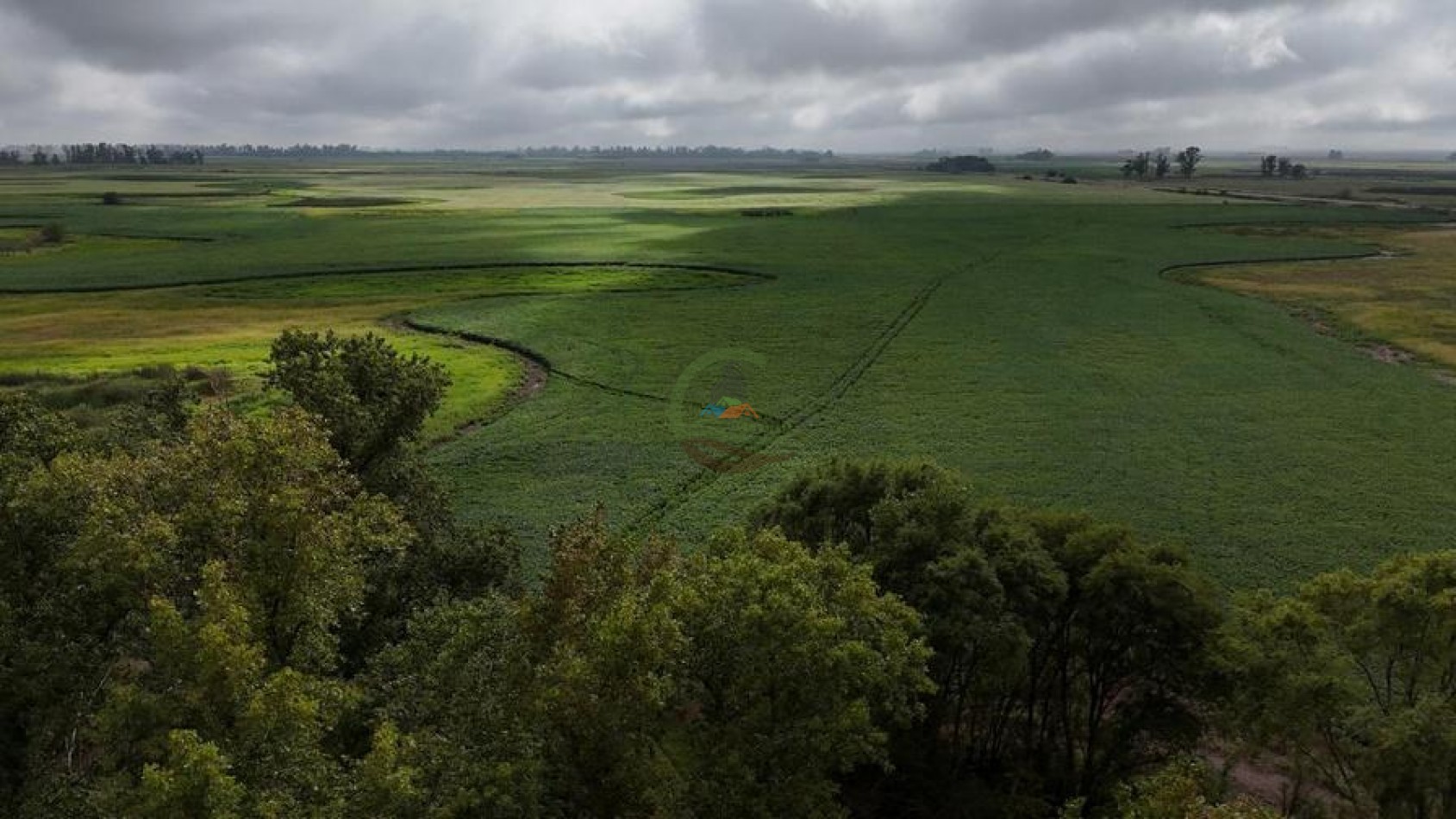 99 ha Mixto - 9 de Julio - Corbett