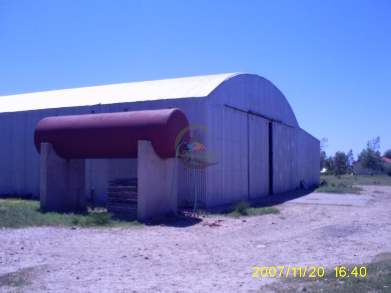 1354 Ha Mixto - Carhue