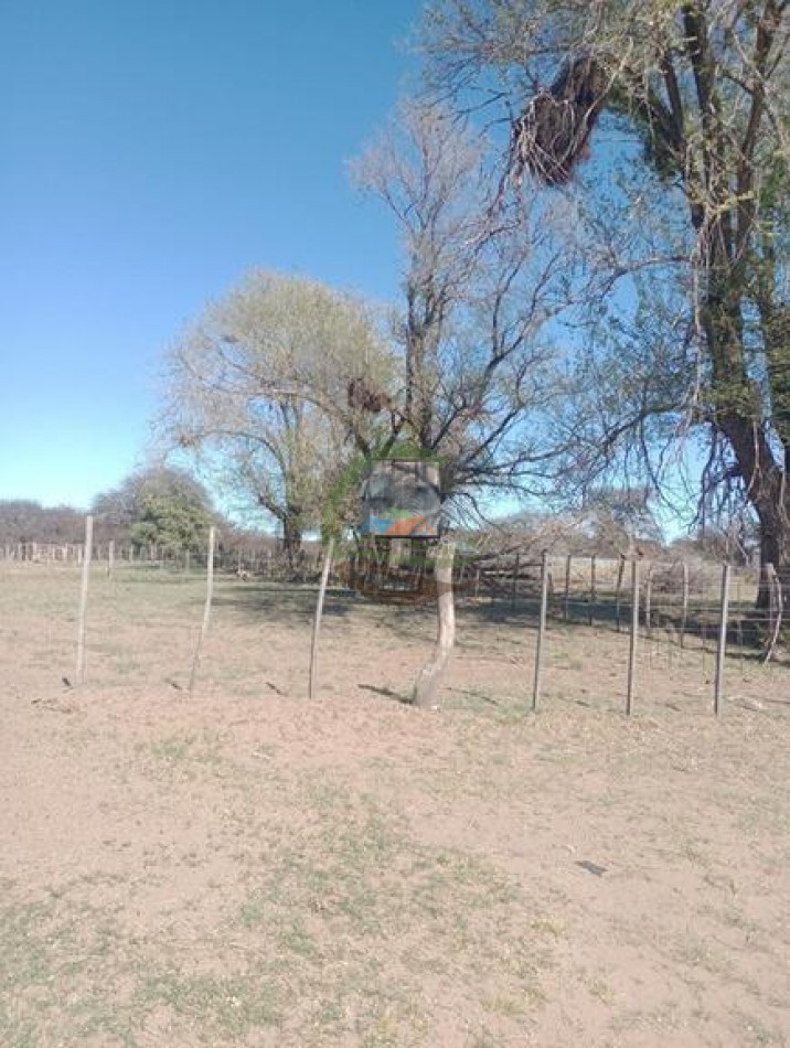 2500 Ha Ganadero - Coto de Caza - Colonia Devoto - La Pampa