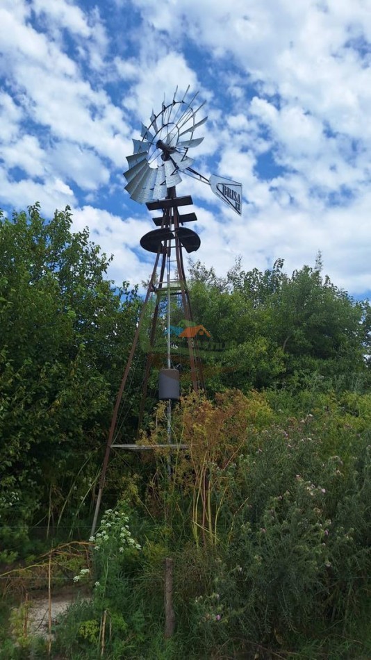 1752 Ha Mixta - Roque Perez