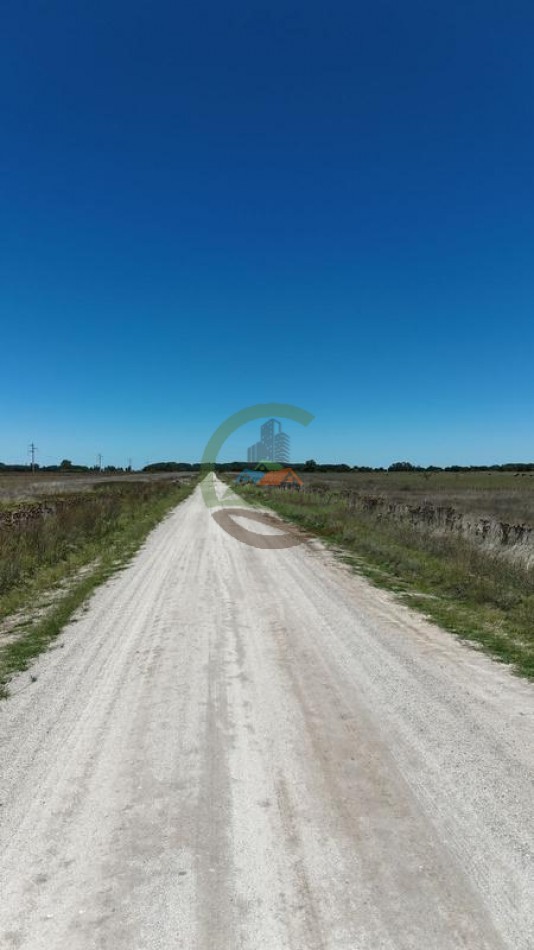 469 Ha Mixto - Chascomus