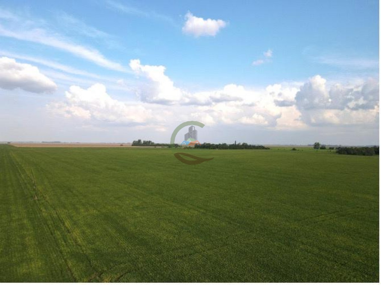 144 Ha Agricolas - Cavanagh - Cordoba 
