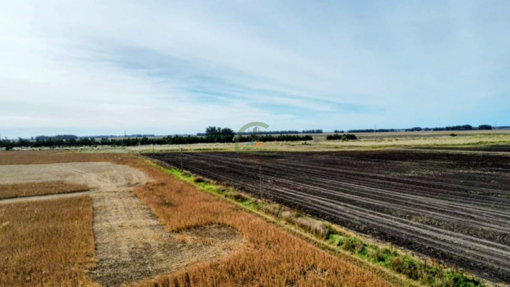 540 ha agricolas - miramar