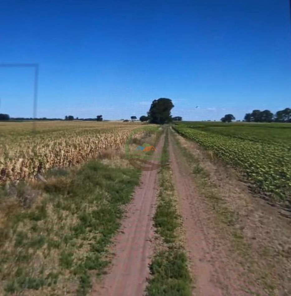 725 Ha Mixto - Bonifacio