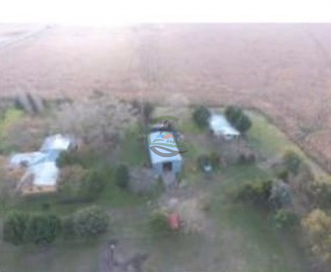 342 Ha Mixtas - San Miguel del Monte