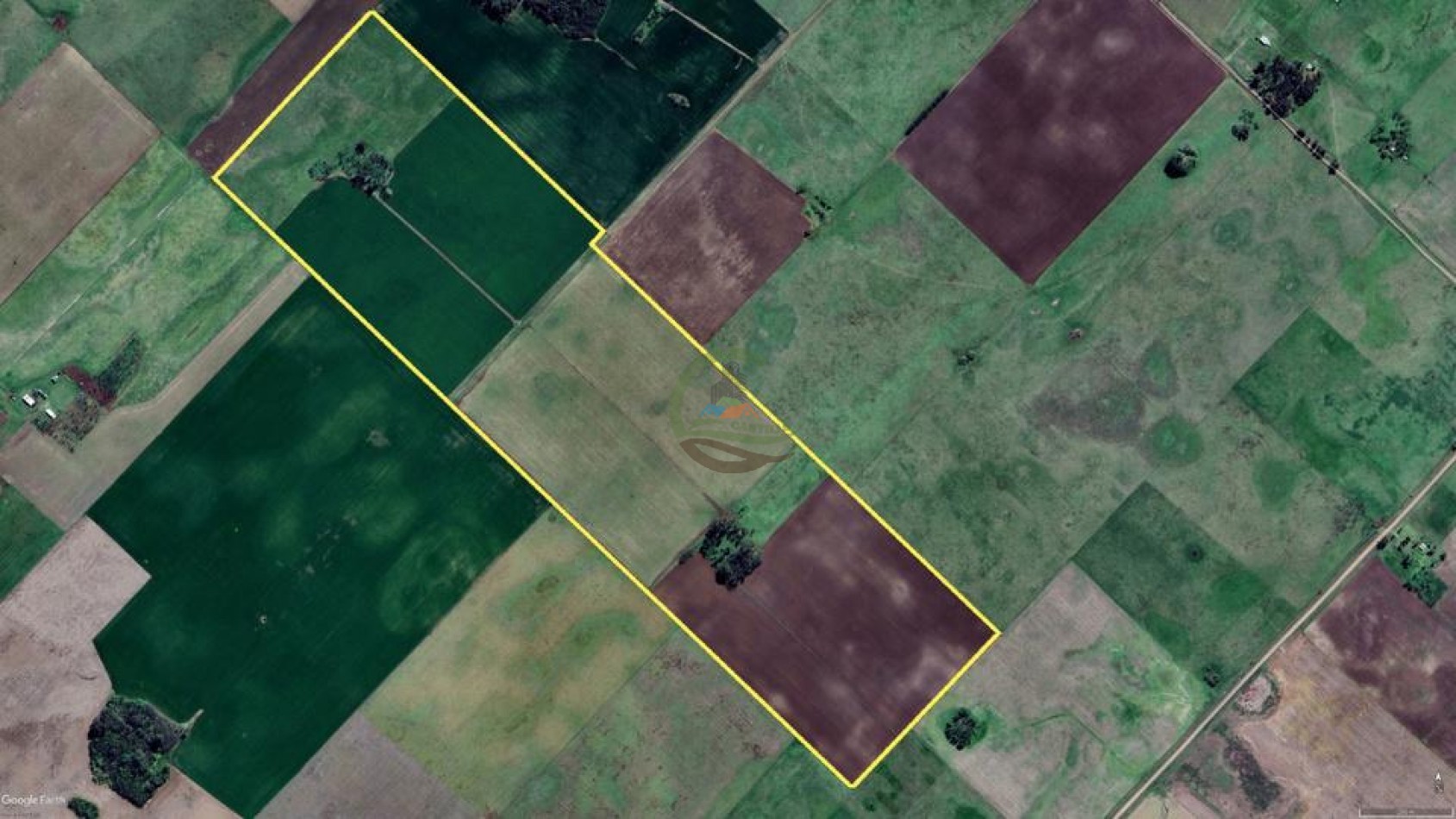 88 Ha Agricolas - Reynoso - Saladillo 