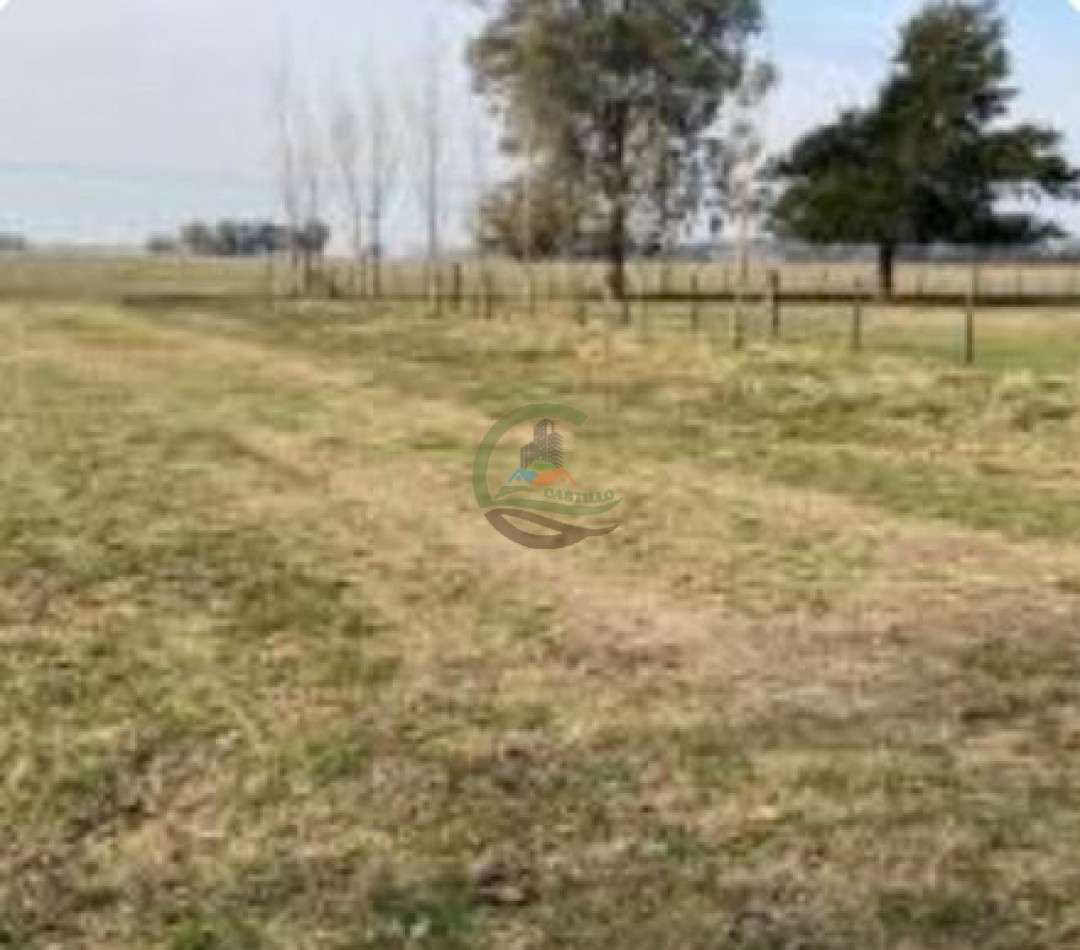 110 Ha Mixto - Abbott - San Miguel del Monte