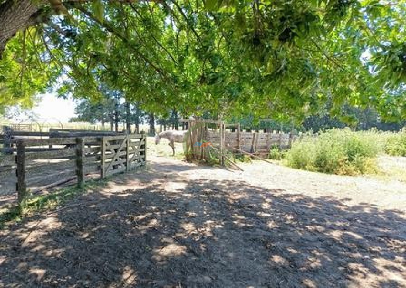 132 Ha Mixto - Magdalena