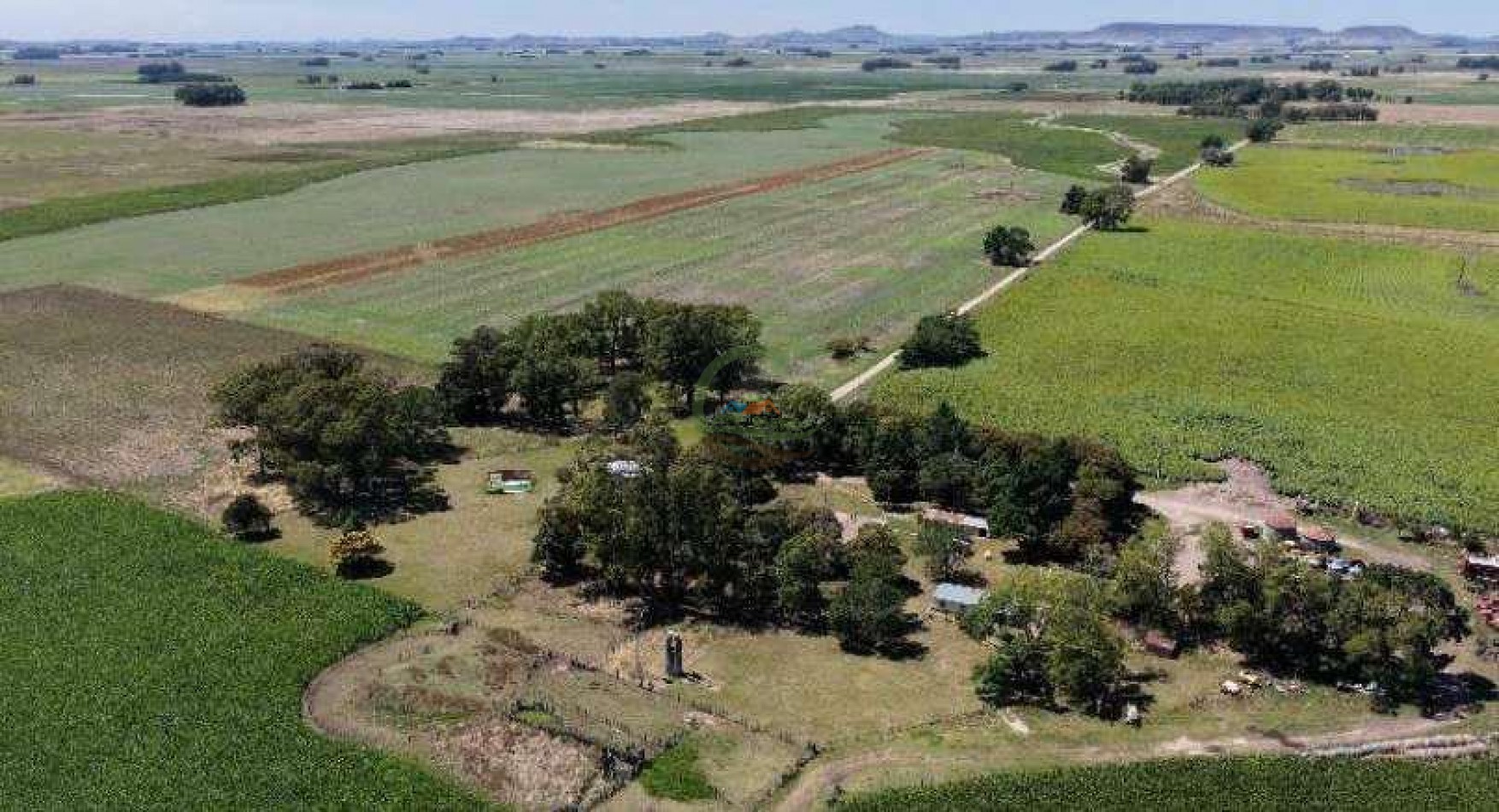 2057 Ha Mixto - Loberia