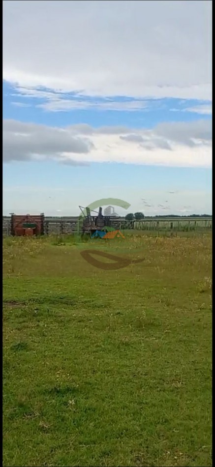 378 Ha Mixto - Realico - La Pampa