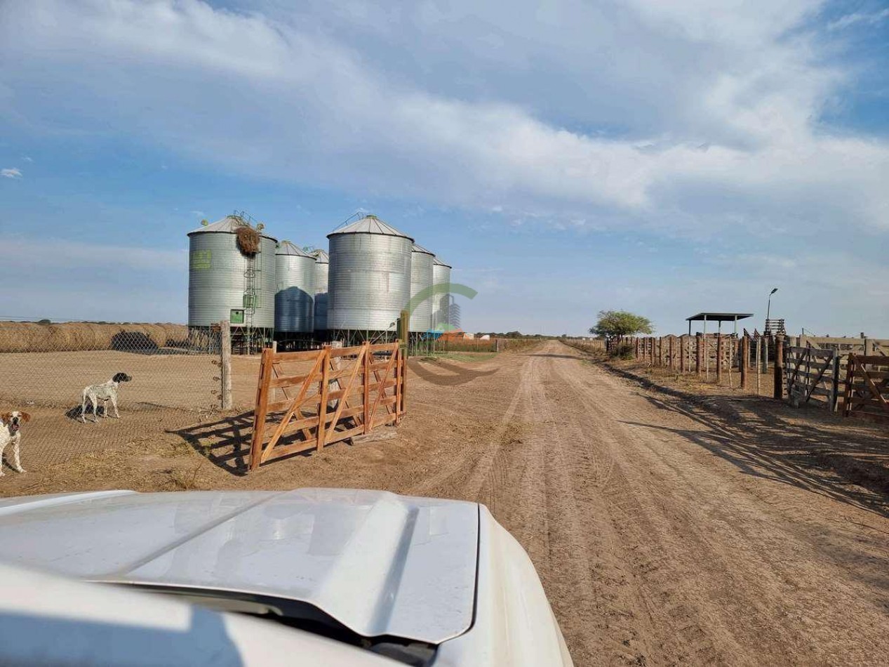 400 Ha Ganaderas - Gregoria Perez de Denis - Santa Fe