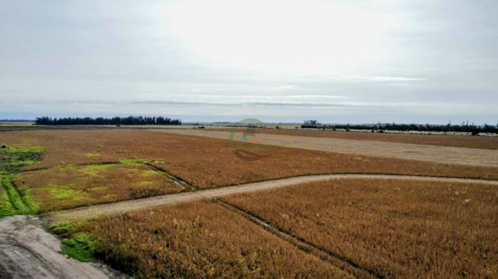 540 ha agricolas - miramar
