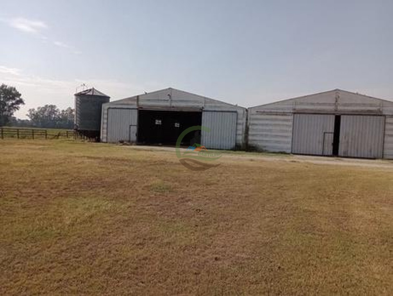 60 ha Haras - San Andres de Giles