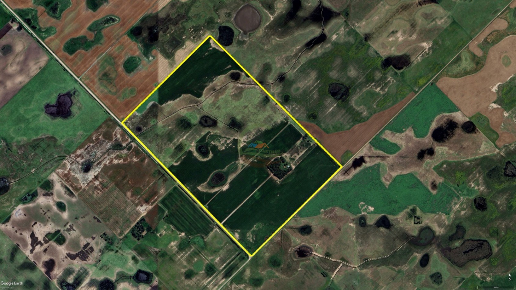 150 Ha Mixto - Urdampilleta - Bolivar