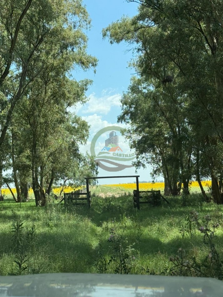 150 Ha Mixto - Urdampilleta - Bolivar