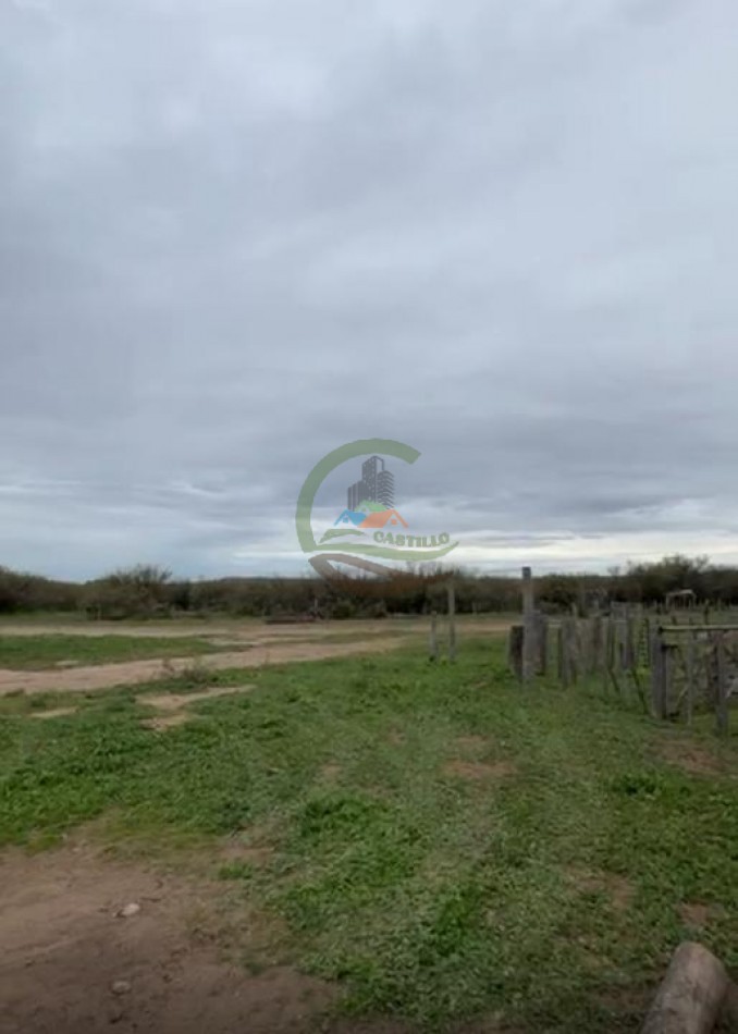 5117 Ha Ganadero - La Adela - La Pampa