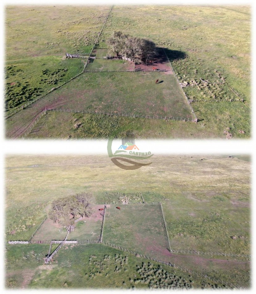 438 Ha Ganadero - Crotto - Tapalque