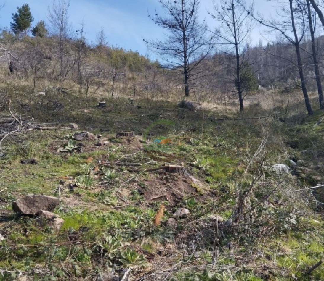 2 Ha Desarrollo - Rincon de Currumahuida - Chubut